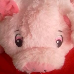 Meet your Posher, Hailey